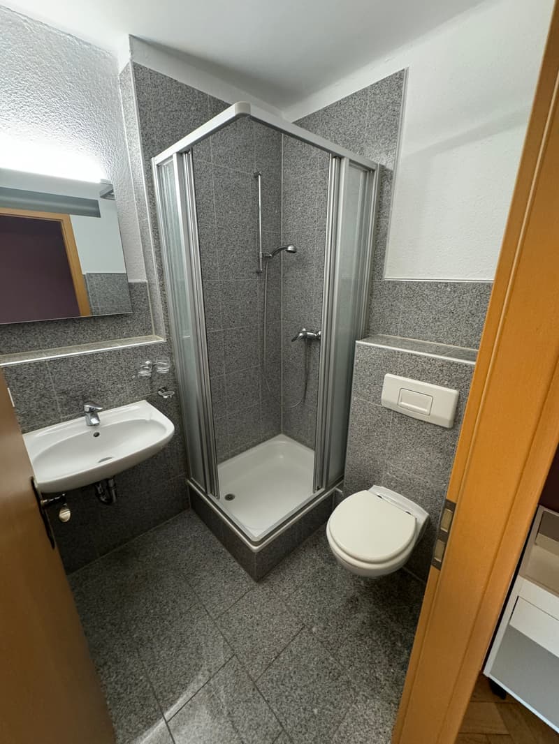 small bathroom with shower, sink, and toilet