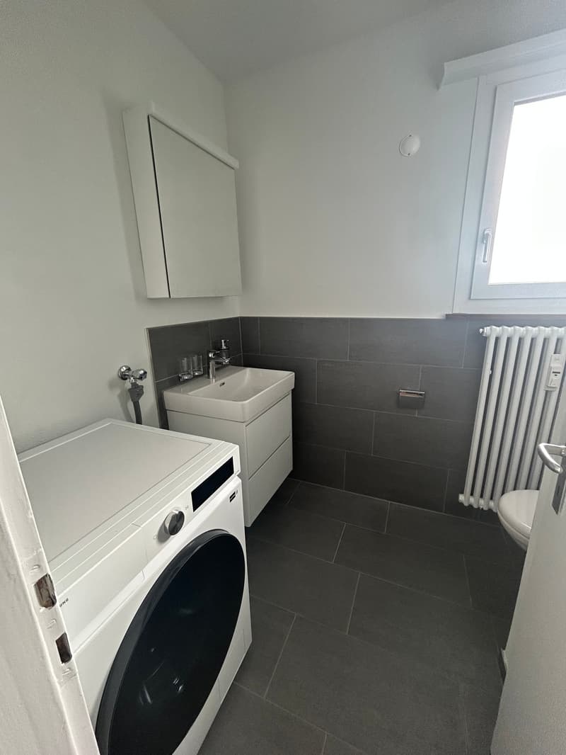 Moderne Attikawohnung mit großzügigen Terrassen in Basel (3)