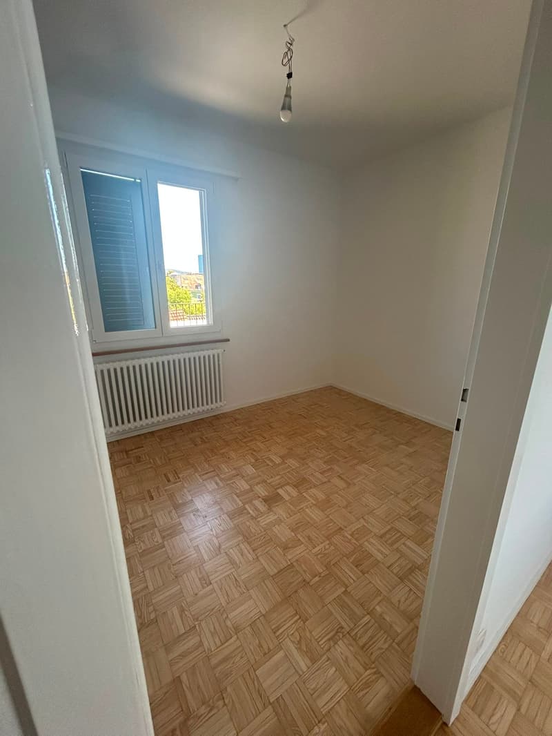 Moderne Attikawohnung mit großzügigen Terrassen in Basel (5)