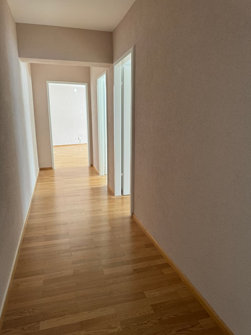 Grosszügige 3.5 Zimmerwohnung zu vermieten - Besichtigung 10.09.2024 - 10 Uhr (2)
