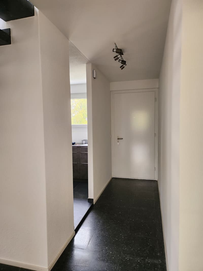 Exklusive 6.5 Zimmer Duplex-Wohnung zu vermieten (8)