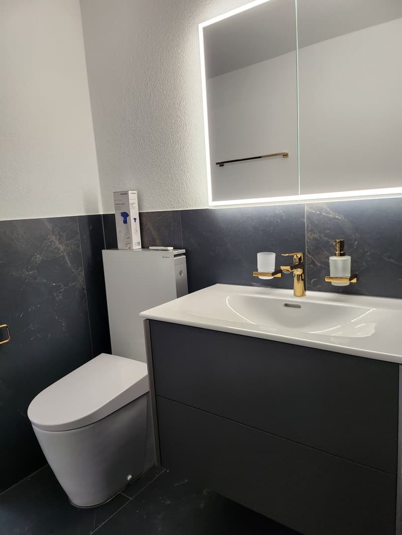 Exklusive 6.5 Zimmer Duplex-Wohnung zu vermieten (7)