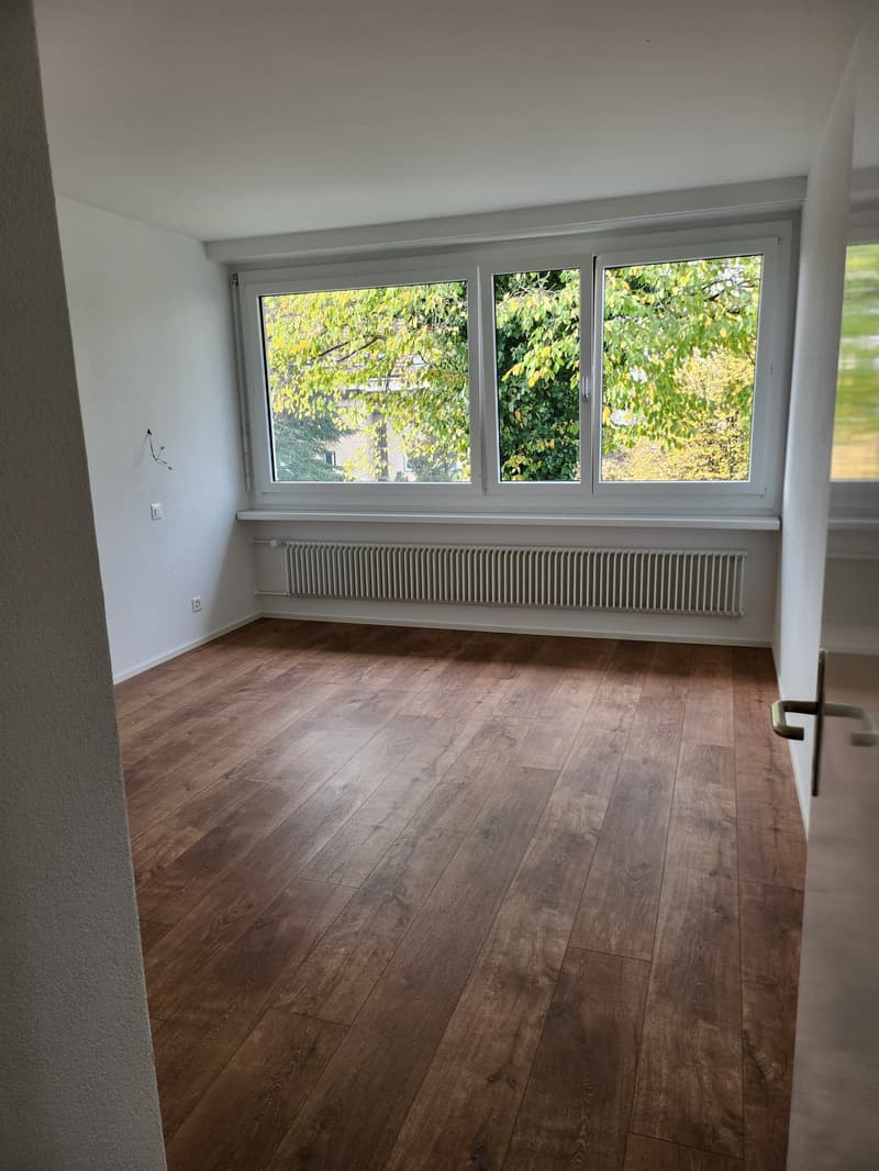 Exklusive 6.5 Zimmer Duplex-Wohnung zu vermieten (6)