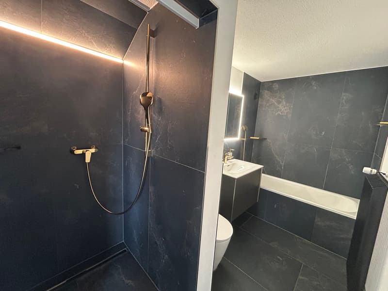 Exklusive 6.5 Zimmer Duplex-Wohnung zu vermieten (9)