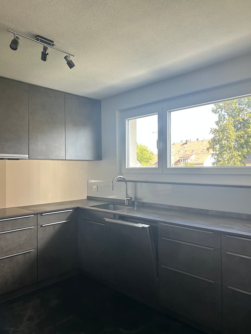 Exklusive 6.5 Zimmer Duplex-Wohnung zu vermieten (2)