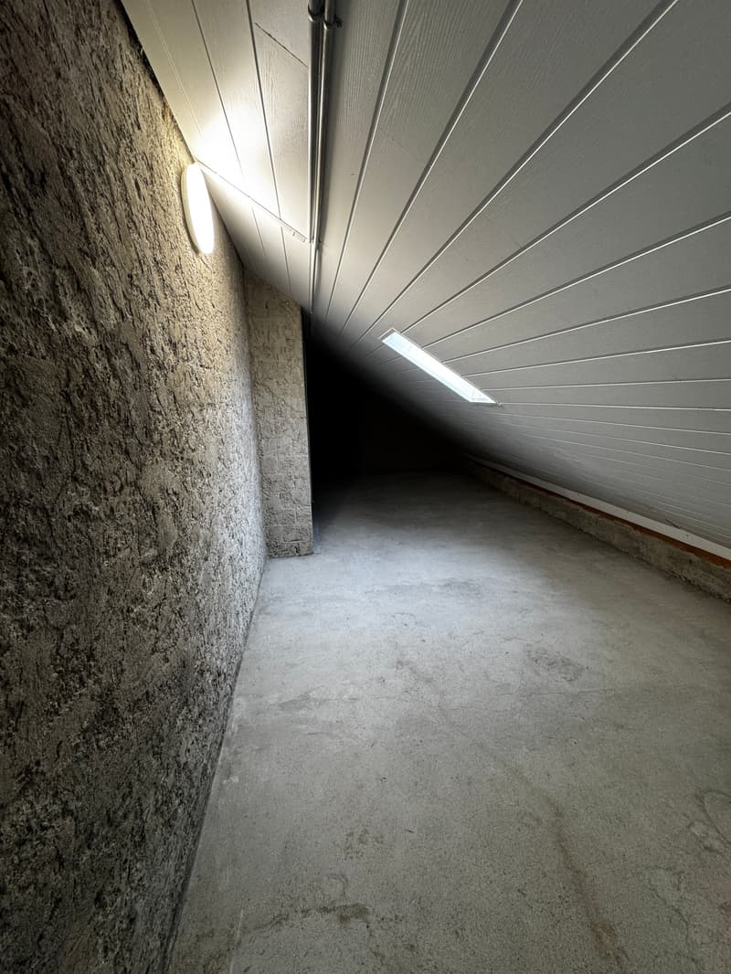 Exklusive 6.5 Zimmer Duplex-Wohnung zu vermieten (10)