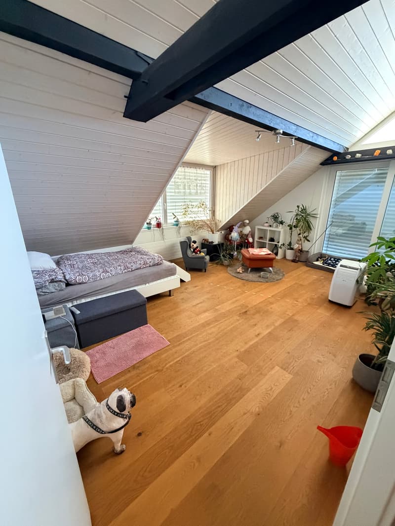 Geräumige 5-Zimmer-Maisonette-Wohnung in Allschwil (10)