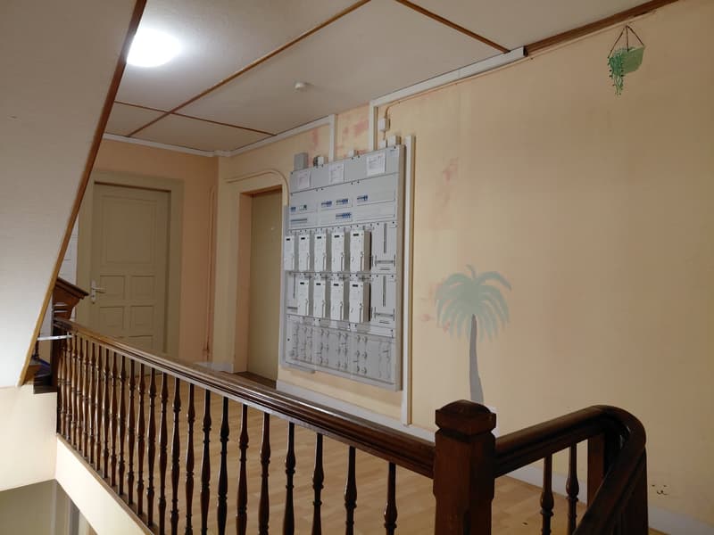 Charmante maison historique multifamiliale à Pratteln (47)