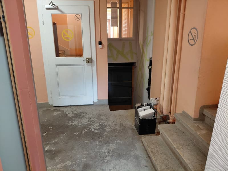 Charmante maison historique multifamiliale à Pratteln (49)
