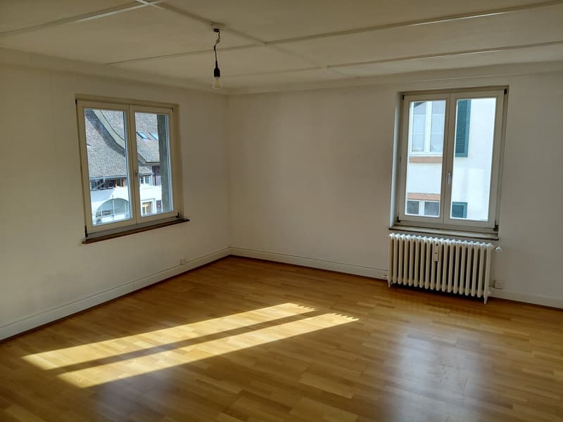 Charmante maison historique multifamiliale à Pratteln (22)