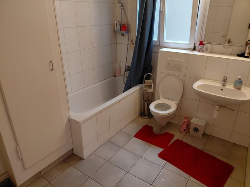 Charmante maison historique multifamiliale à Pratteln (26)