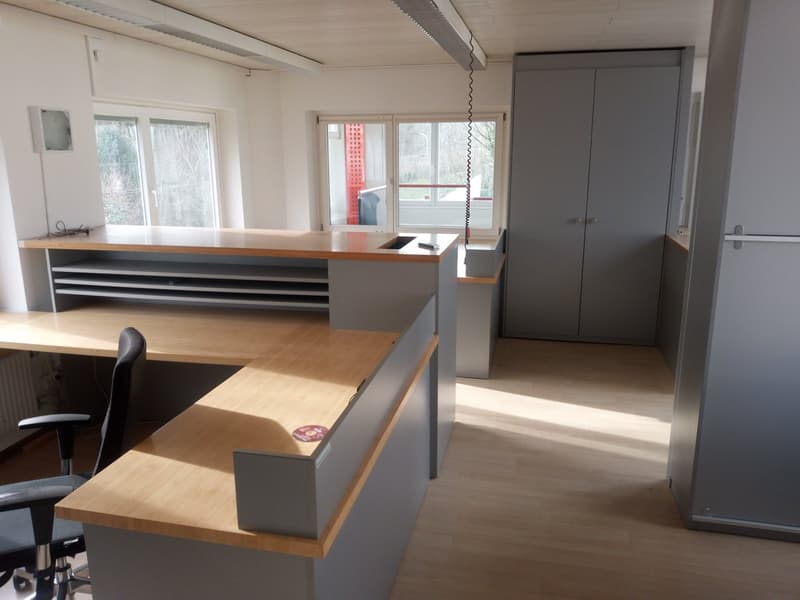 modern office with wooden desks, gray cabinets, large windows, ceiling lights