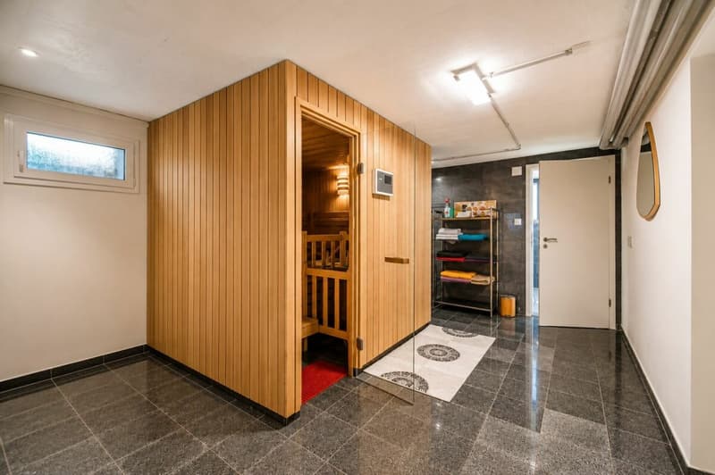 Luxuriöses Wohnen direkt am Rhein - exklusives 6.5-Zimmer-Einfamilienhaus mit traumhafter Aussicht (17)