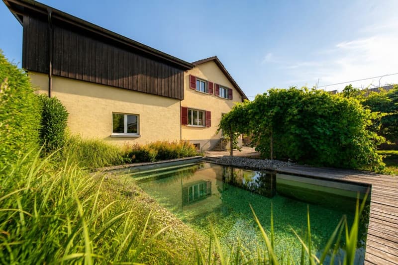 Ein Zuhause am Rhein mit Naturpool und Ausbaupotenzial - exklusives 8.5-Zimmer-Einfamilienhaus (20)