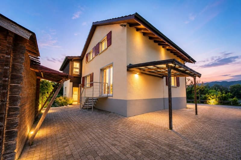 Ein Zuhause am Rhein mit Naturpool und Ausbaupotenzial - exklusives 8.5-Zimmer-Einfamilienhaus (1)