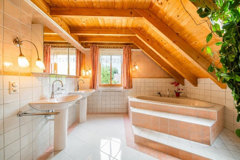 Einzigartiges Vollholzhaus aus Mondholz - gesund wohnen mit Bergsicht und vielseitigen Nutzungsmöglichkeiten (15)