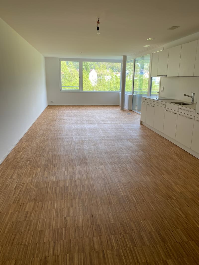 open space, hardwood floors, large windows, modern kitchen, light