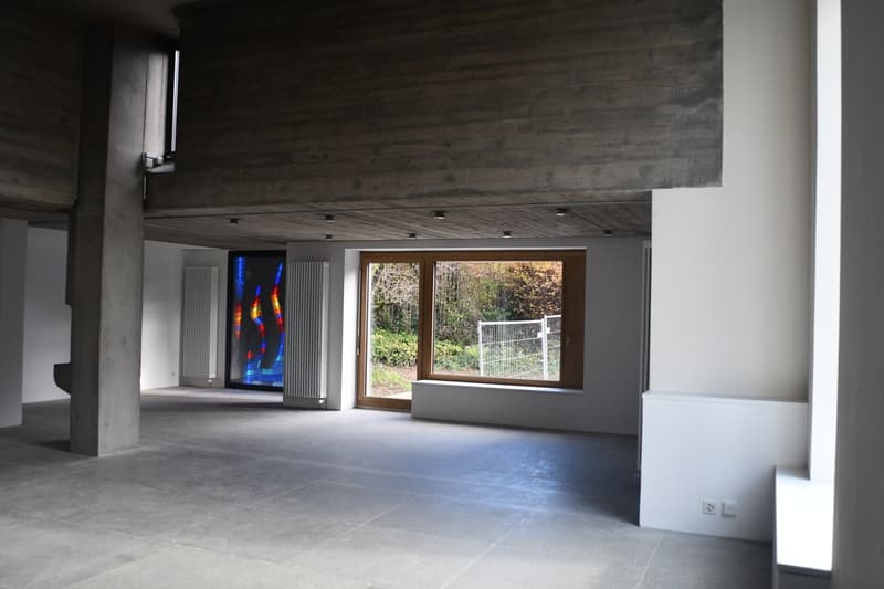 spacious room, white walls, grey tile floor, two windows, wooden ceiling, radiators