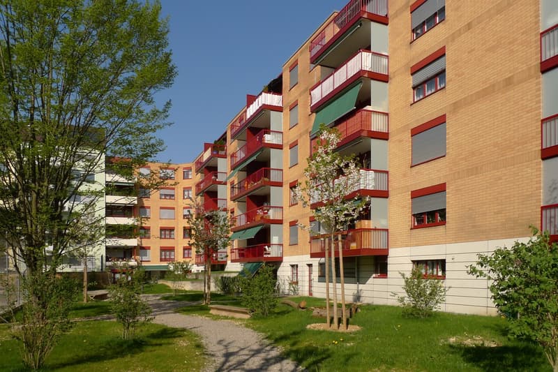 Charmante 1.5-Zimmer-Wohnung in Basel mit Gartensitzplatz (2)