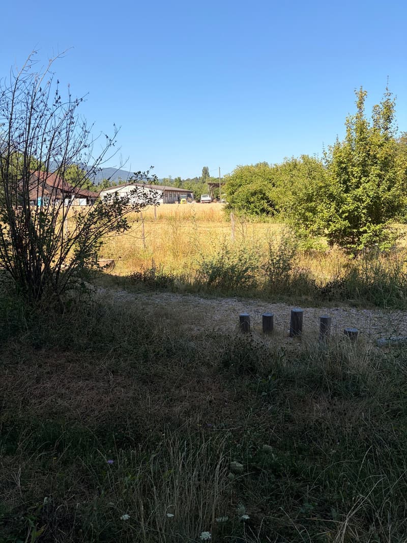 Wohnung W16 ¦ Wohneigentum auf Zeit (WAZ) ¦ Sommeraktion bis 15.09.2026 (15)