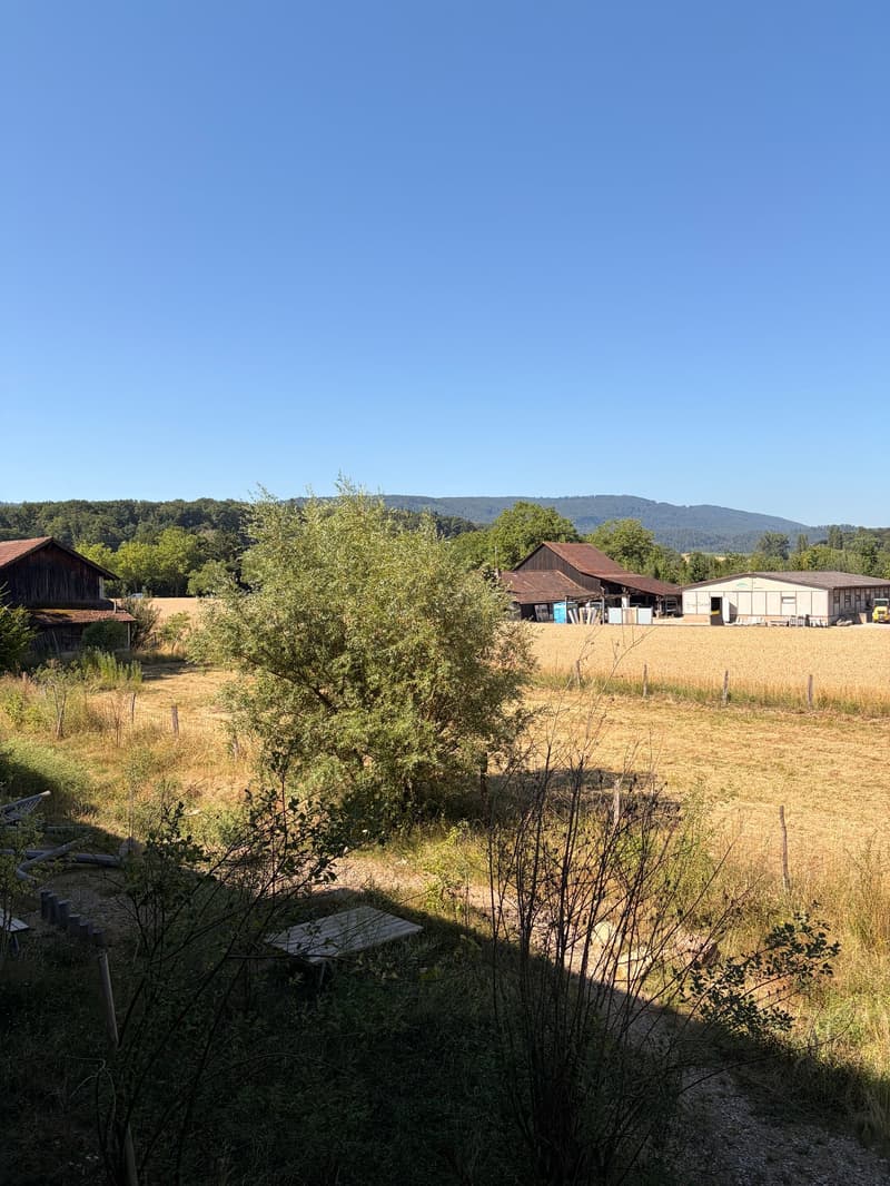 Wohnung W18 ¦ Wohneigentum auf Zeit (WAZ) ¦ Sommeraktion bis 15.09.2026 (16)
