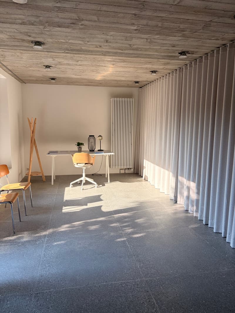 Domino Riehen ¦ Einmaliges Loft ¦ Erstvermietung (19)