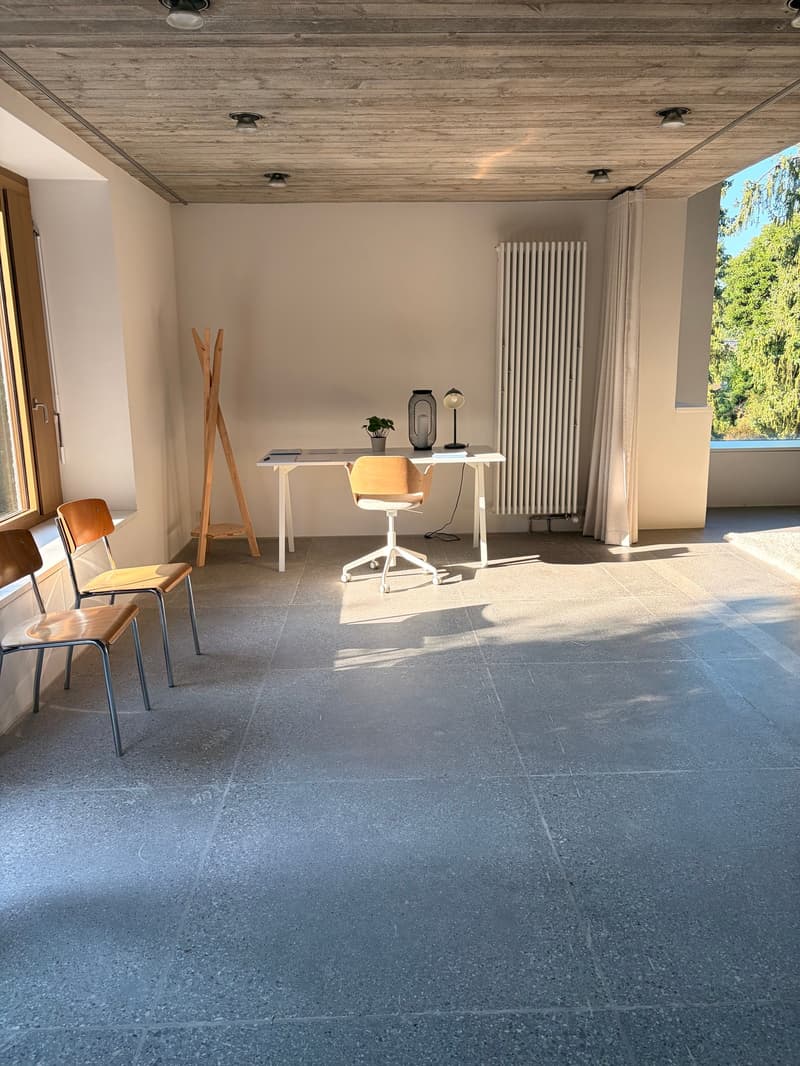Domino Riehen ¦ Einmaliges Loft ¦ Erstvermietung (11)