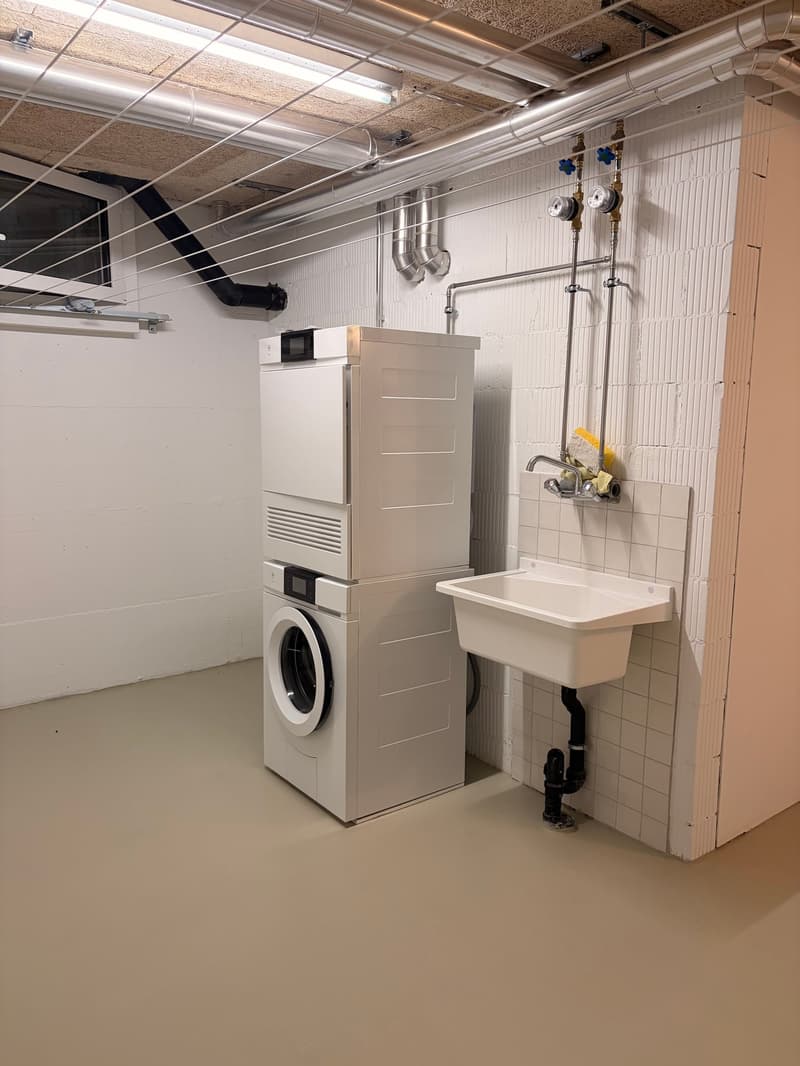 Domino Riehen ¦ Einmaliges Loft ¦ Erstvermietung (17)