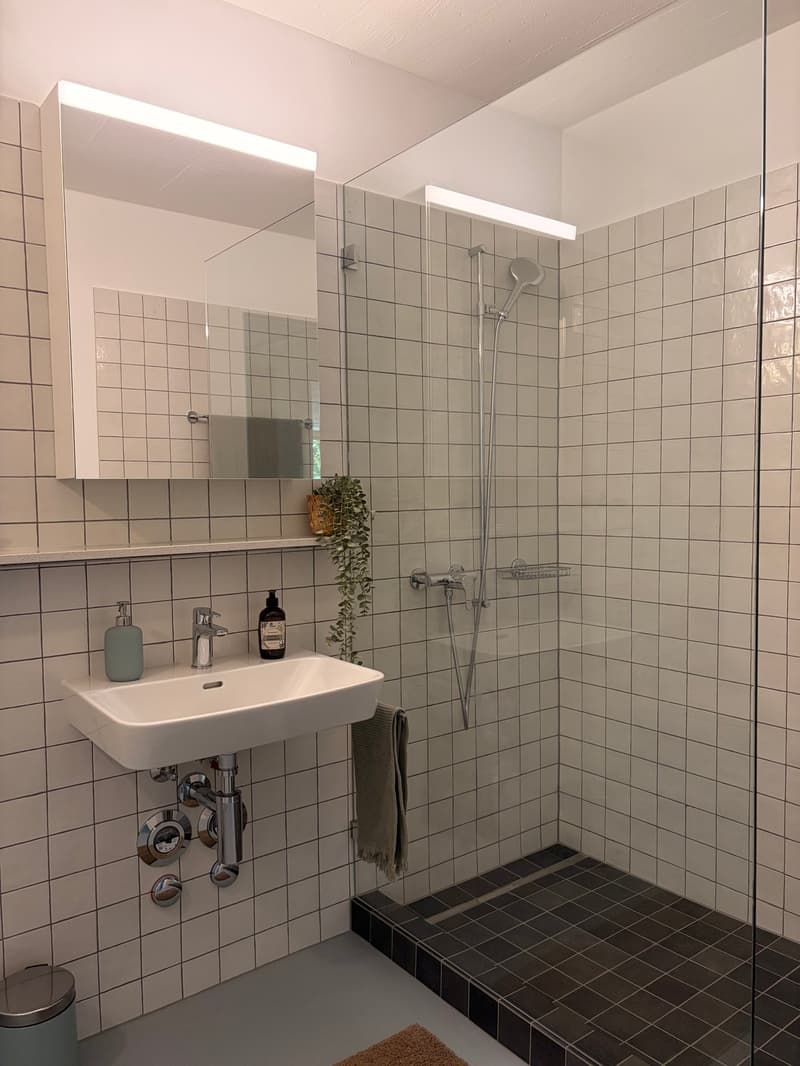Domino Riehen ¦ Einmaliges Loft ¦ Erstvermietung (10)