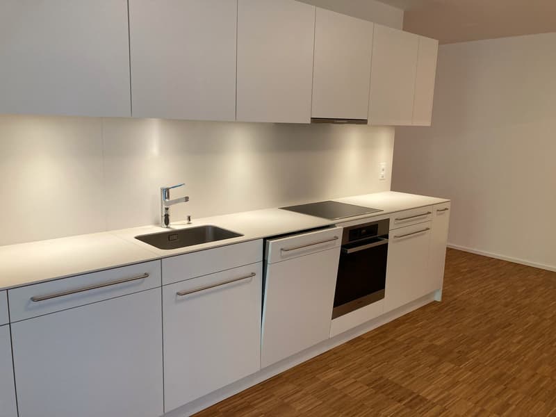 Moderne repräsentative Wohnung (7)