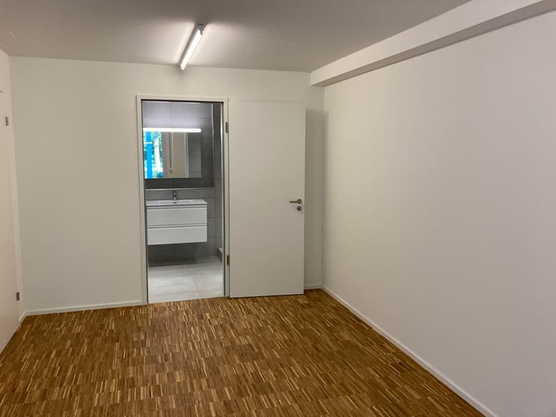 Moderne repräsentative Wohnung (4)