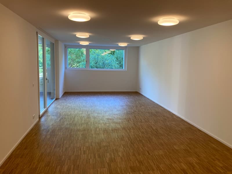 Moderne repräsentative Wohnung (12)