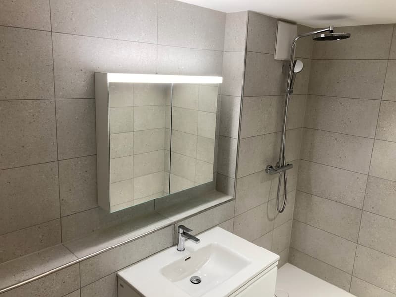 Moderne repräsentative Wohnung (3)