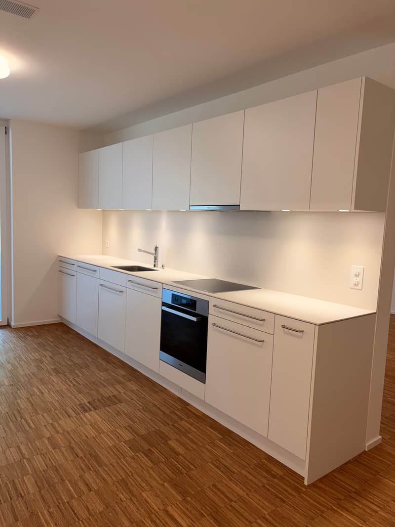 Moderne repräsentative Wohnung (8)