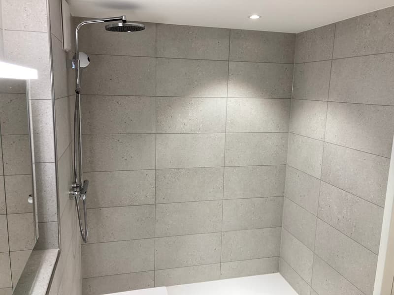 Moderne repräsentative Wohnung (2)
