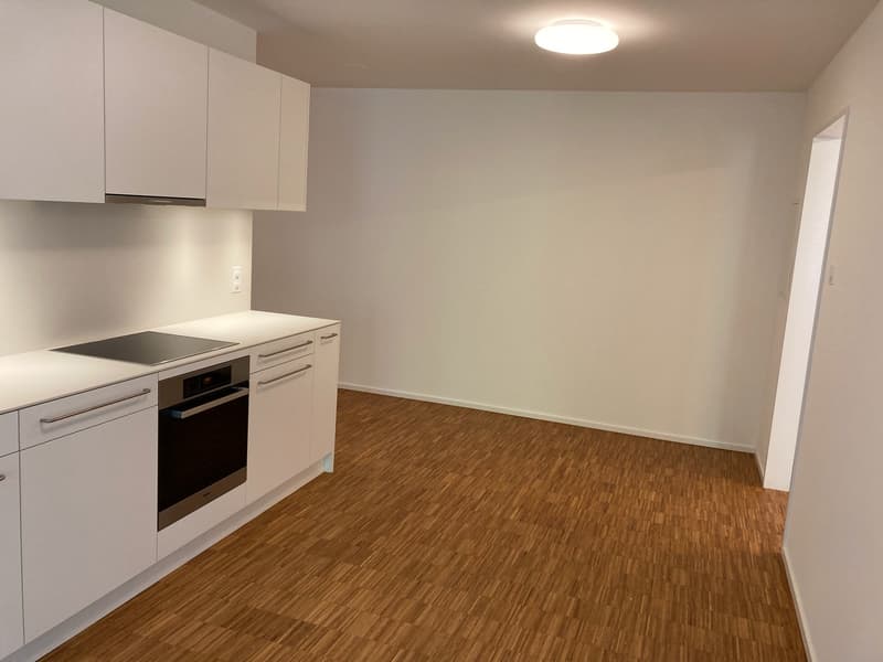 Moderne repräsentative Wohnung (6)