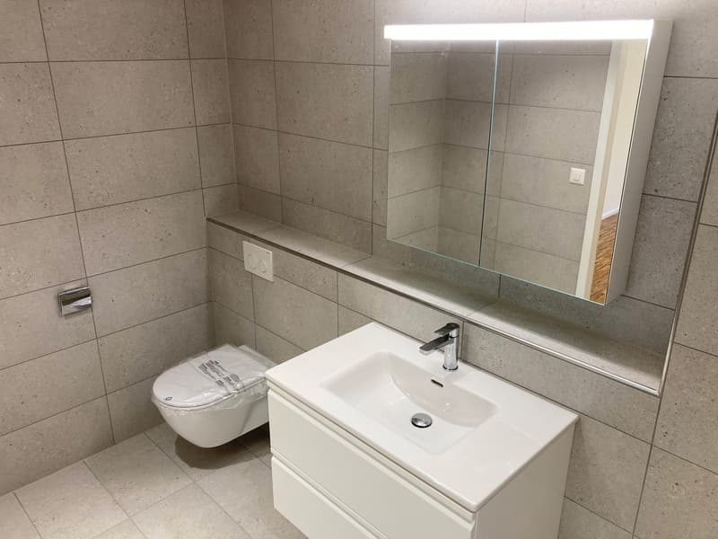 Moderne repräsentative Wohnung (1)