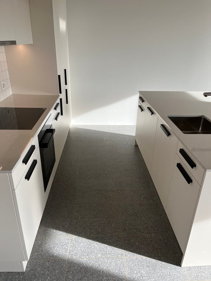 Einzigartige Pavillonwohnung im Domino mit sep. Zugang ¦ Erstvermietung (8)