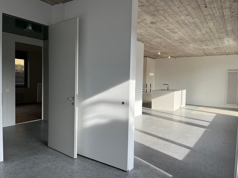 Einzigartige Pavillonwohnung im Domino mit sep. Zugang ¦ Erstvermietung (6)