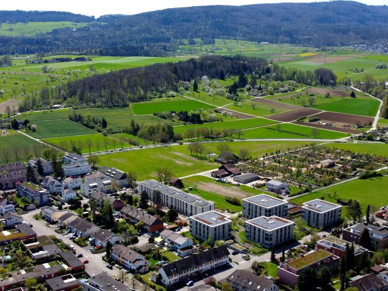 Wohnung W12 ¦  Wohneigentum auf Zeit (WAZ) ¦ Sommeraktion bis 15.09.2026 (4)