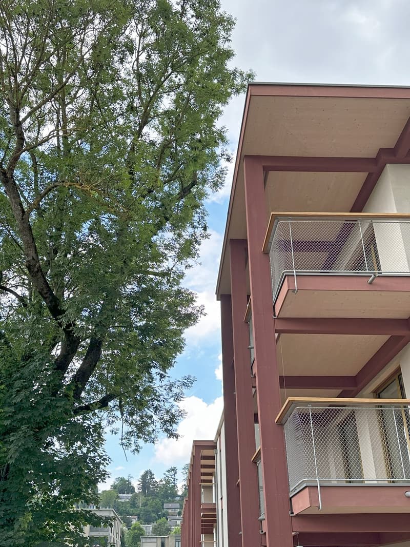 Wohnung W12 ¦  Wohneigentum auf Zeit (WAZ) ¦ Sommeraktion bis 15.09.2026 (13)