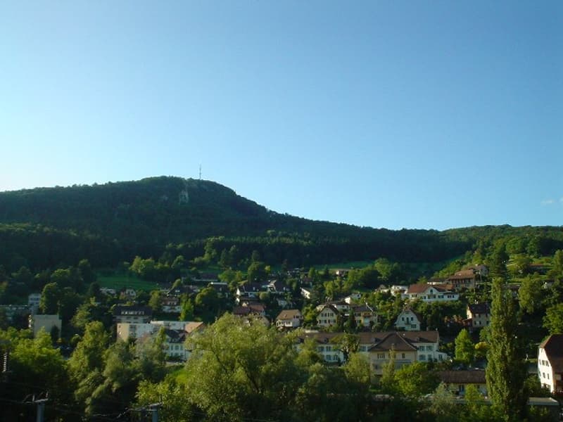 Grosse 2.5-Zimmerwohnung mit Galerie (5)