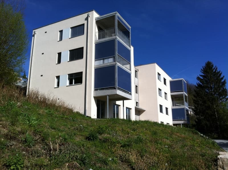 Helle und grosszügige Wohnung (3)