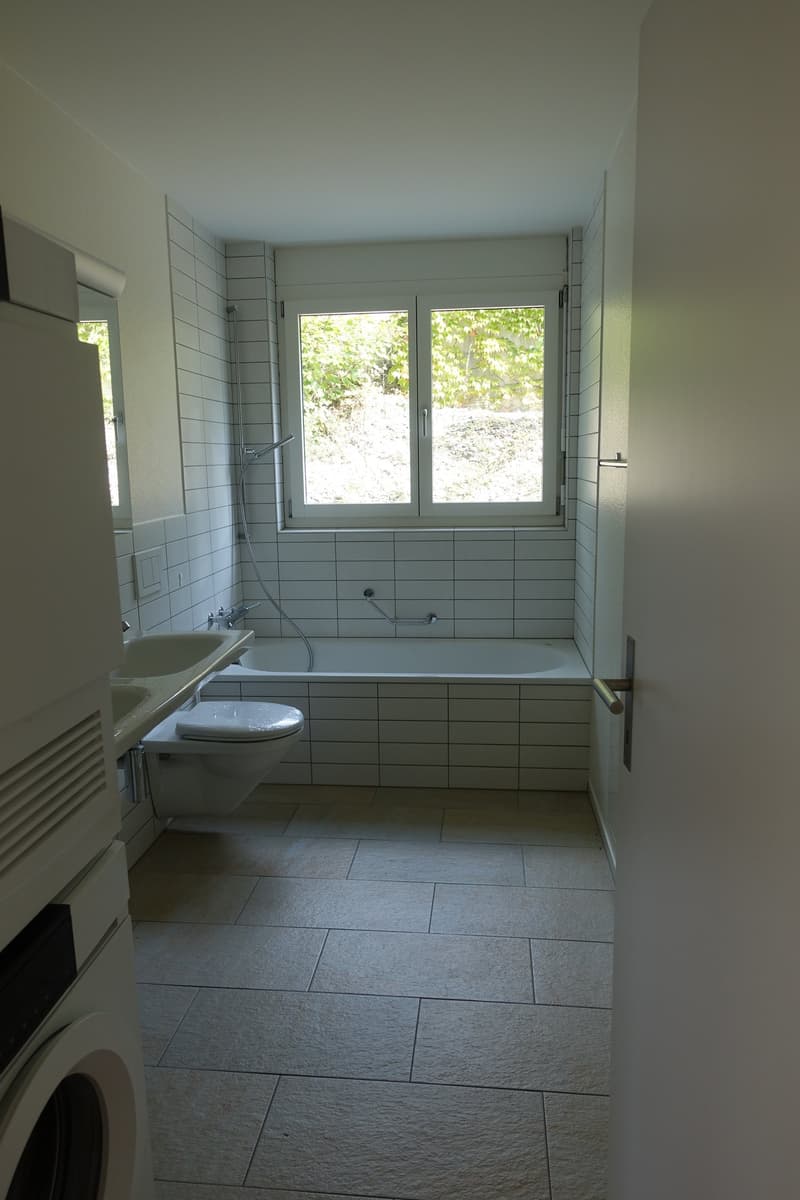 Helle und grosszügige Wohnung (8)
