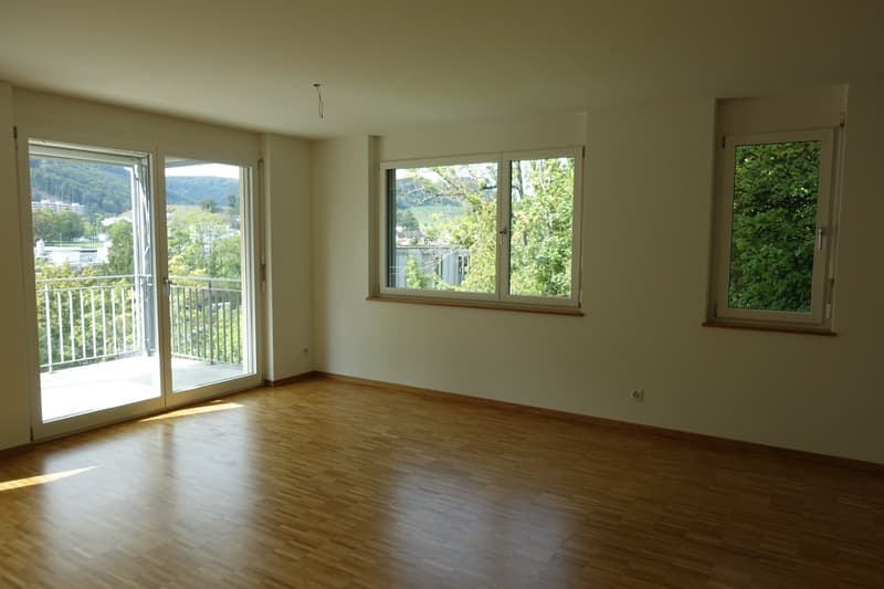 Helle und grosszügige Wohnung (4)