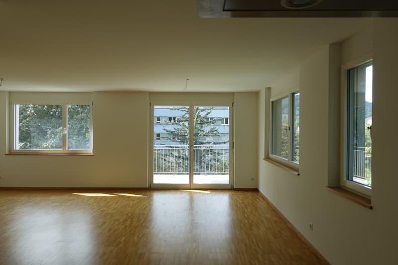 Helle und grosszügige Wohnung (5)