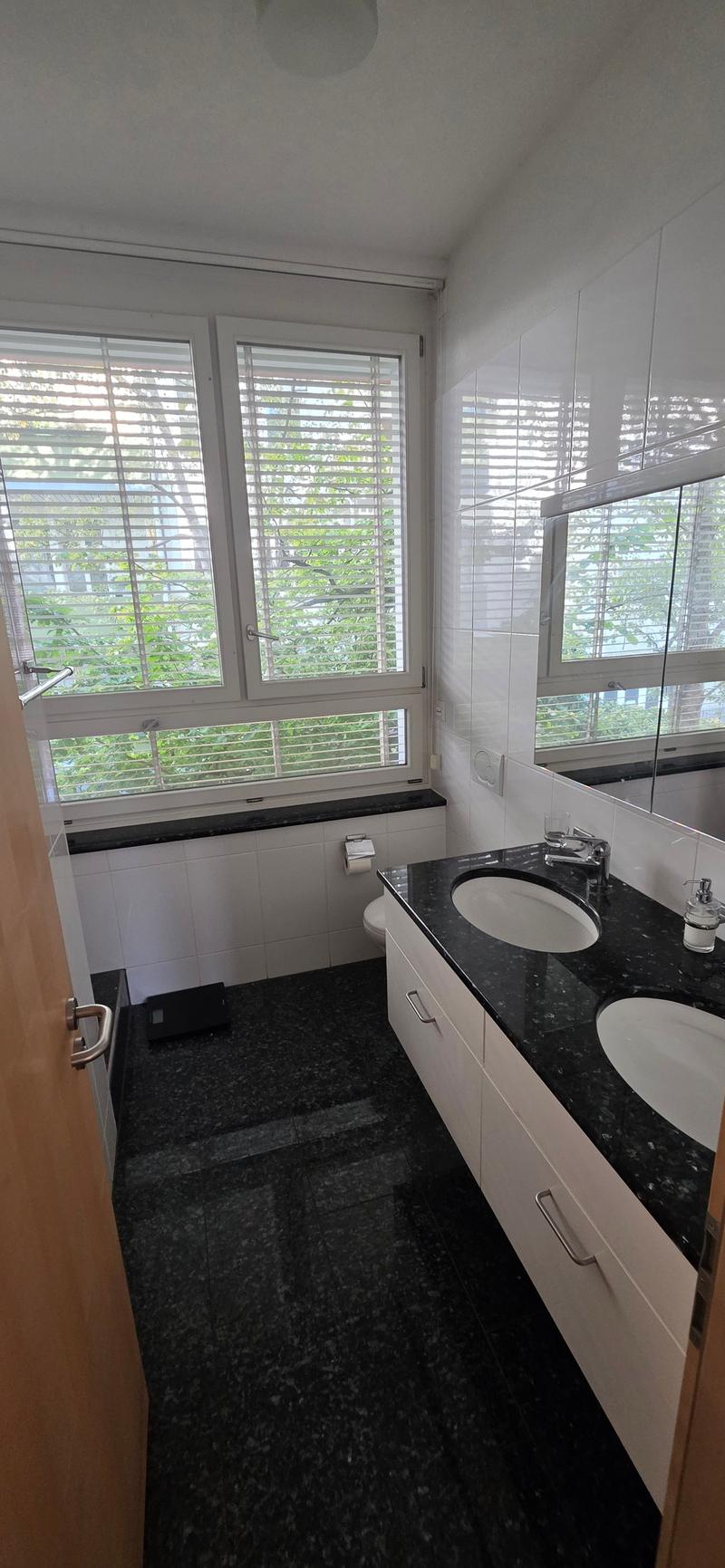 Charmante 2-Zimmer-Loft-Wohnung (7)