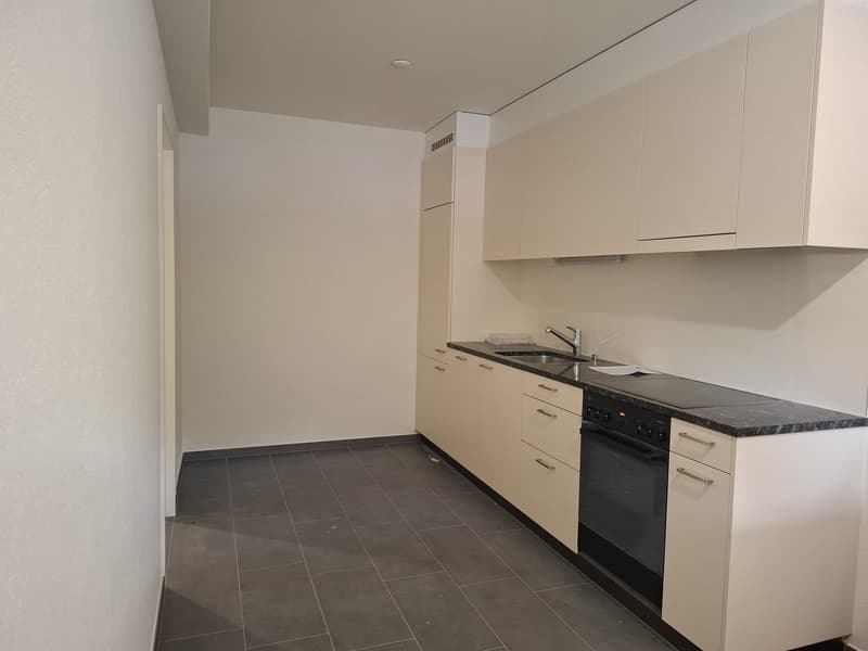 Charmante 1.5-Zimmer-Wohnung in Basel mit Gartensitzplatz (3)