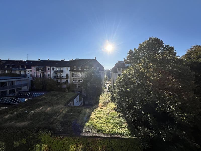 Stilvolle Altbauwohnung im Herzen des Gundeli (11)