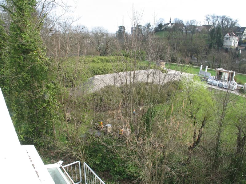 aerial view of garden with green grass and trees, a road, and a building
